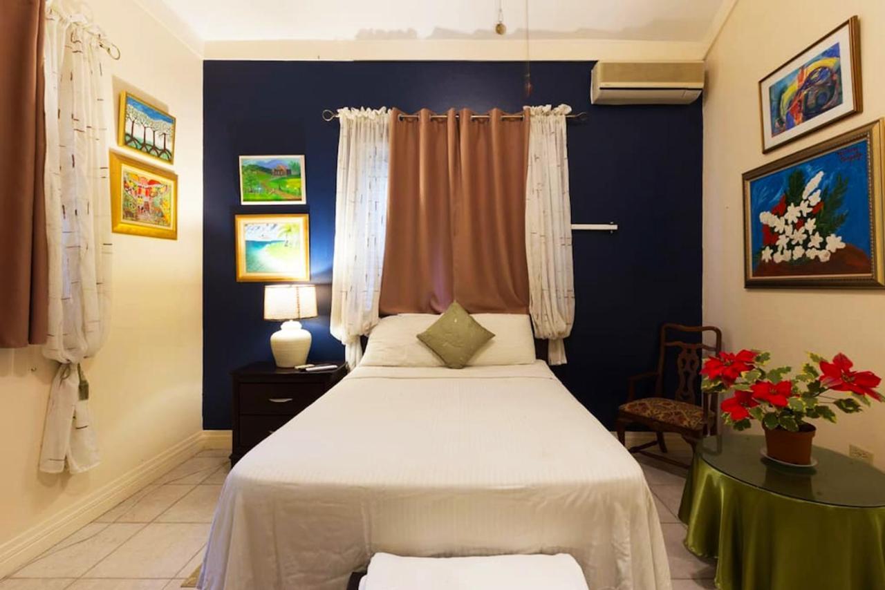 Chester Avenue Guest House Кингстон Экстерьер фото