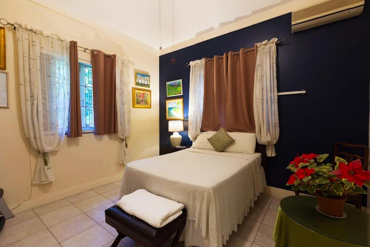 Chester Avenue Guest House Кингстон Экстерьер фото